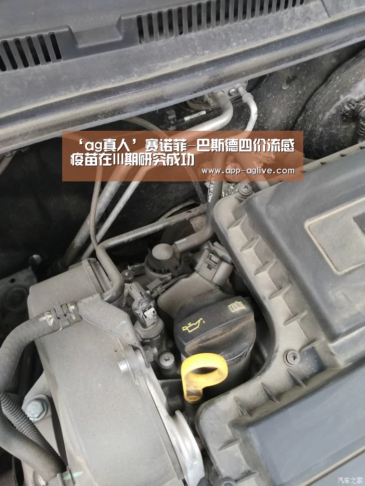 ag真人视讯