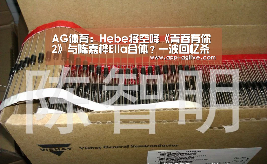 AG体育